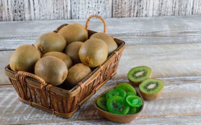 Comment conserver vos kiwis pendant l’hiver ?