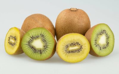 Kiwi Vert ou Kiwi Jaune, quelles différences ? 